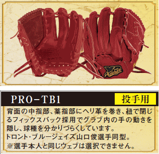 シバスポーツ ザナックス トラストエックス スペシャルオーダー